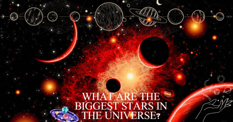 What are the biggest stars in the universe?