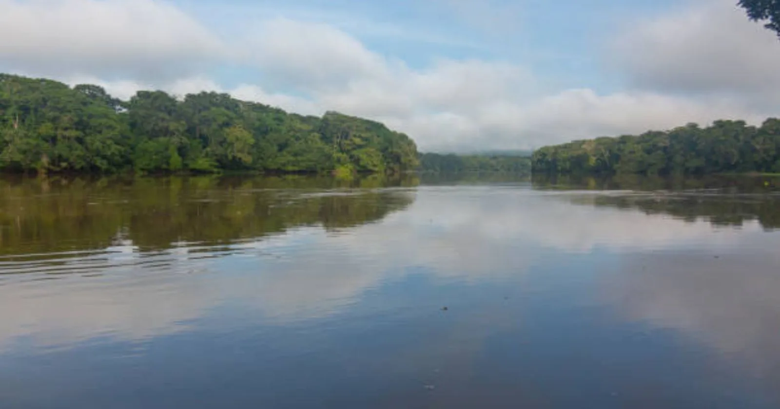 Mystery of congo forest