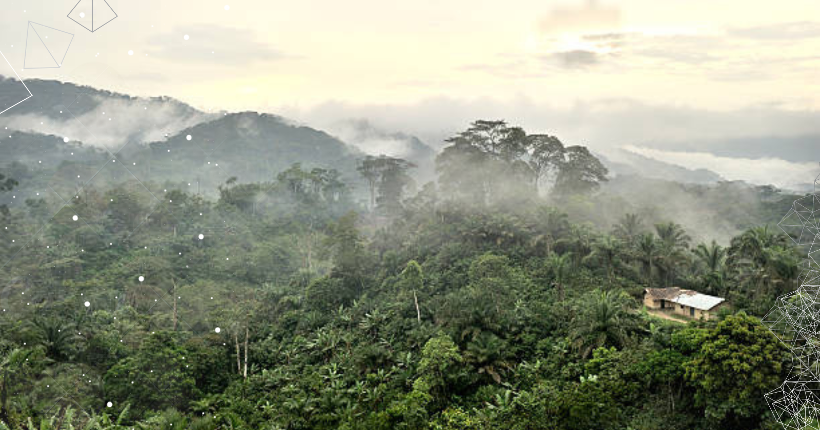 Mystery of congo forest