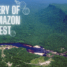 Mystery of the amazon forest