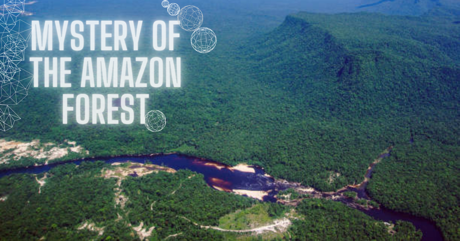 Mystery of the amazon forest